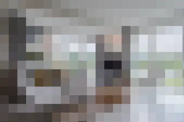 Adriaan van Royenlaan 116 Oegstgeest thumbnail 8