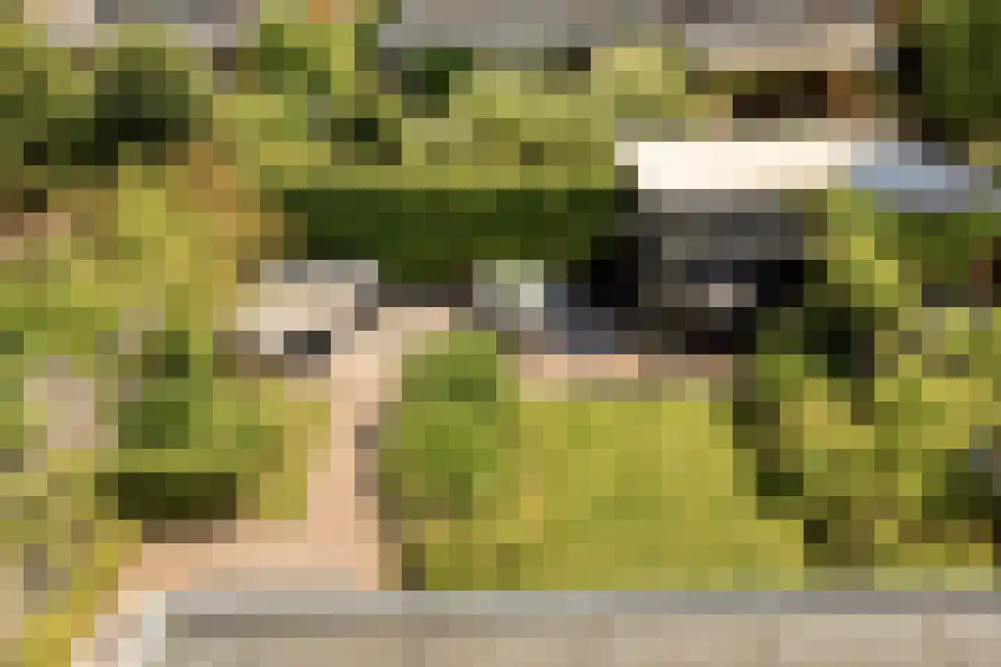 Adriaan van Royenlaan 21 Oegstgeest thumbnail 26