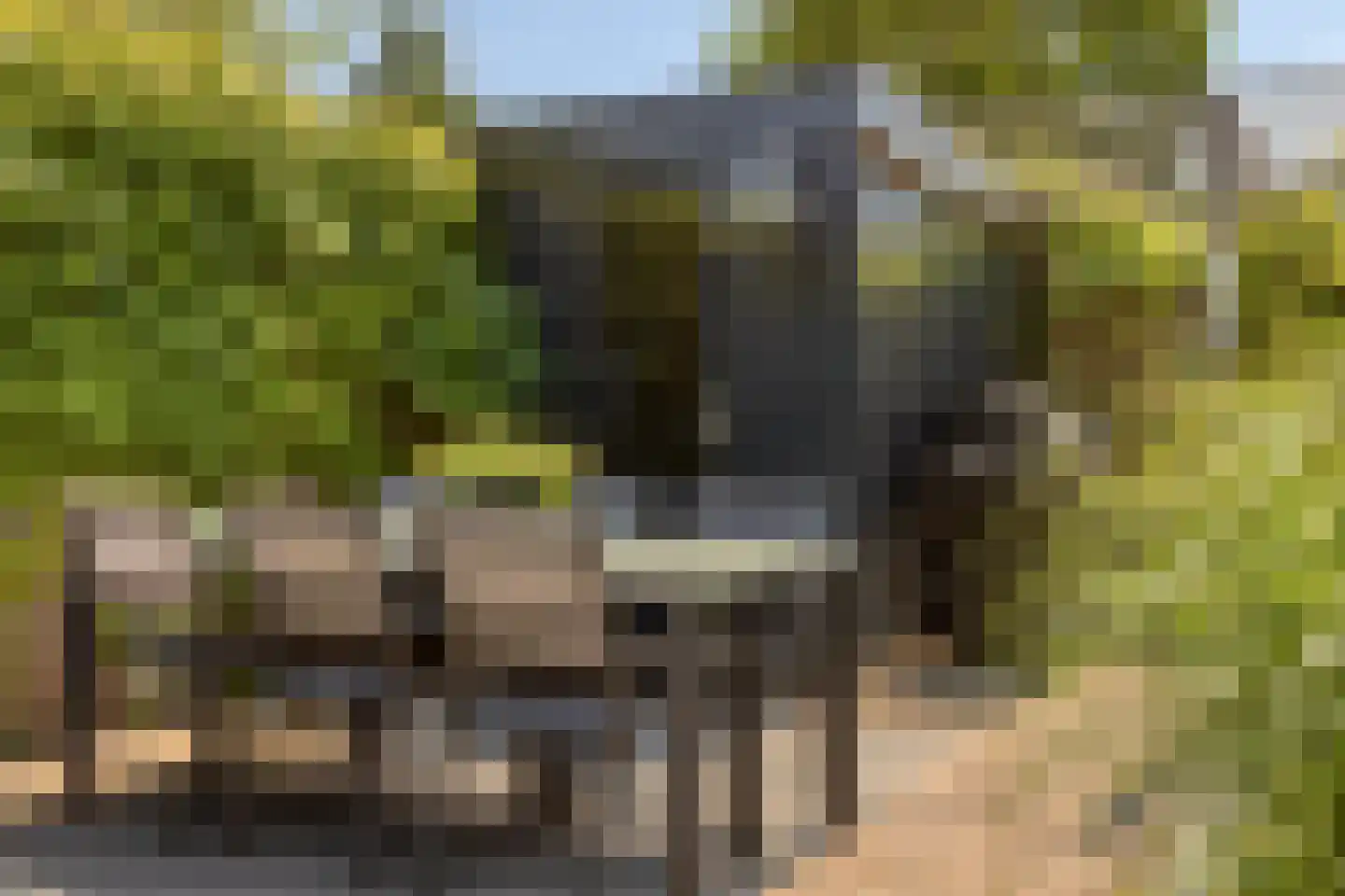 Adriaan van Royenlaan 21 Oegstgeest thumbnail 29