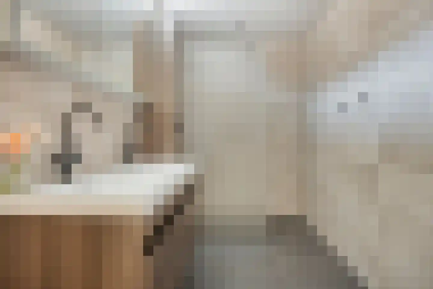 Adriaan van Royenlaan 21 Oegstgeest thumbnail 37