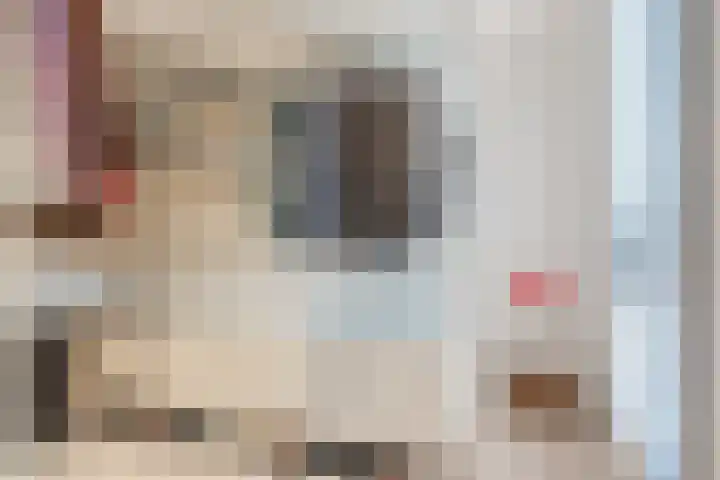 Adriaan van Royenlaan 35 Oegstgeest thumbnail 49