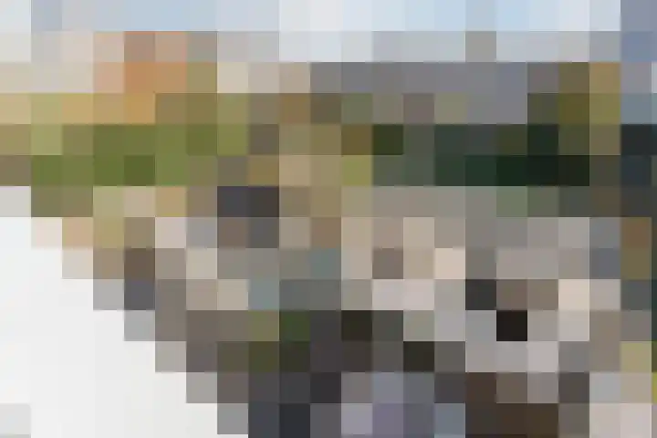 Adriaan van Royenlaan 35 Oegstgeest thumbnail 57