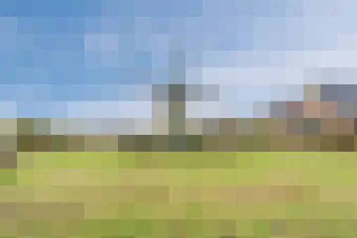 Adriaan van Royenlaan 35 Oegstgeest thumbnail 64
