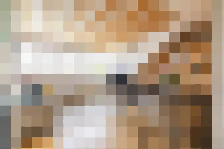 Adriaan van Zwietenstraat 20 Utrecht thumbnail 28