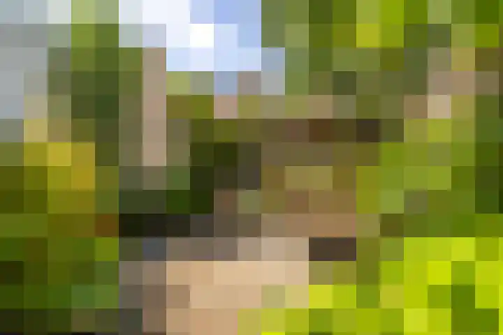 Adriaan van Zwietenstraat 20 Utrecht thumbnail 31