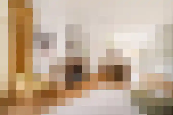 Adriaan van Zwietenstraat 20 Utrecht thumbnail 6