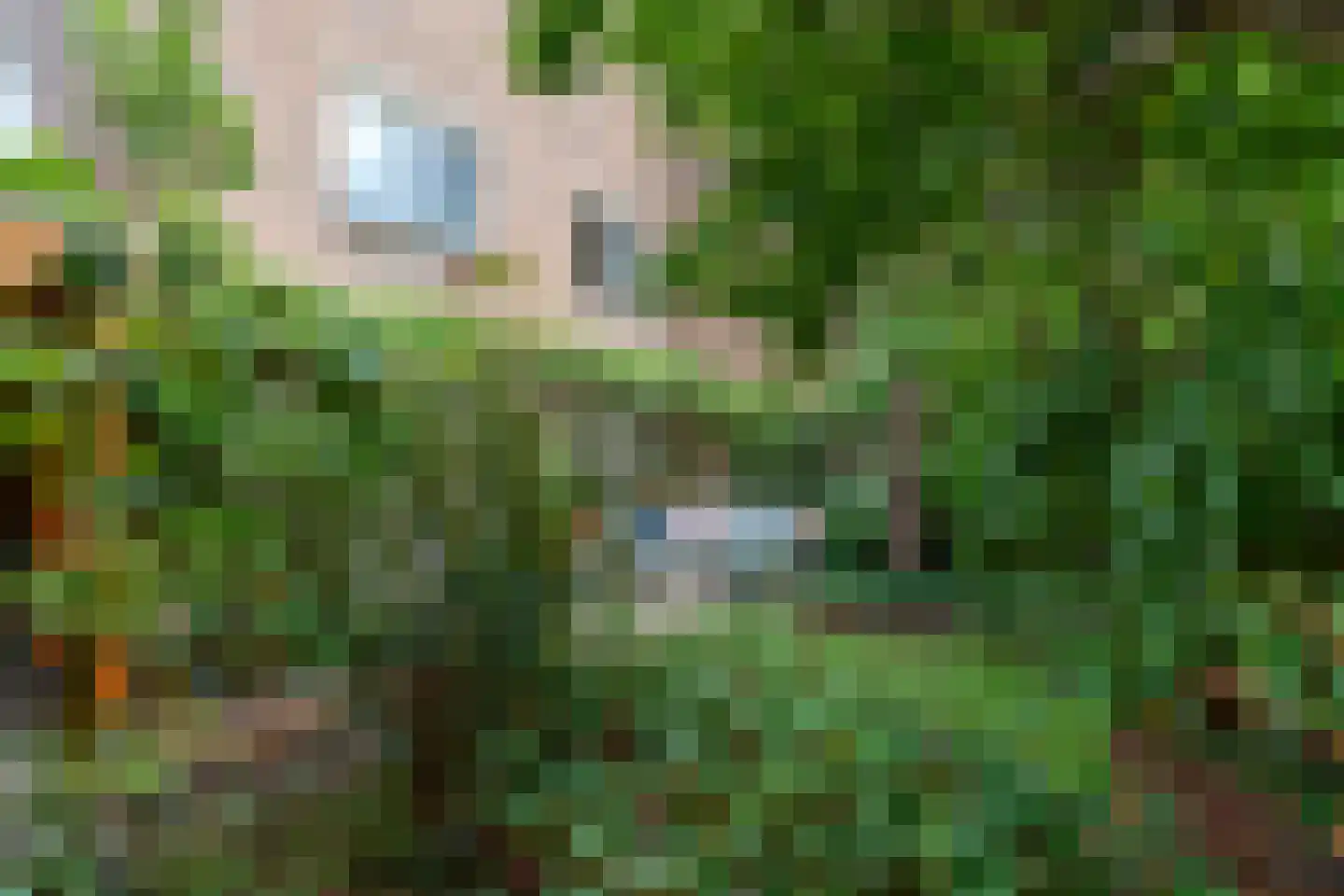 Adriaan van Zwietenstraat 3 Utrecht thumbnail 41