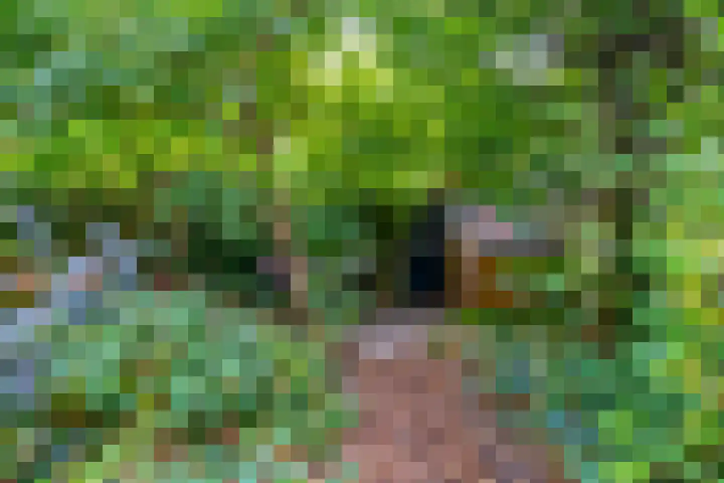 Adriaan van Zwietenstraat 3 Utrecht thumbnail 46