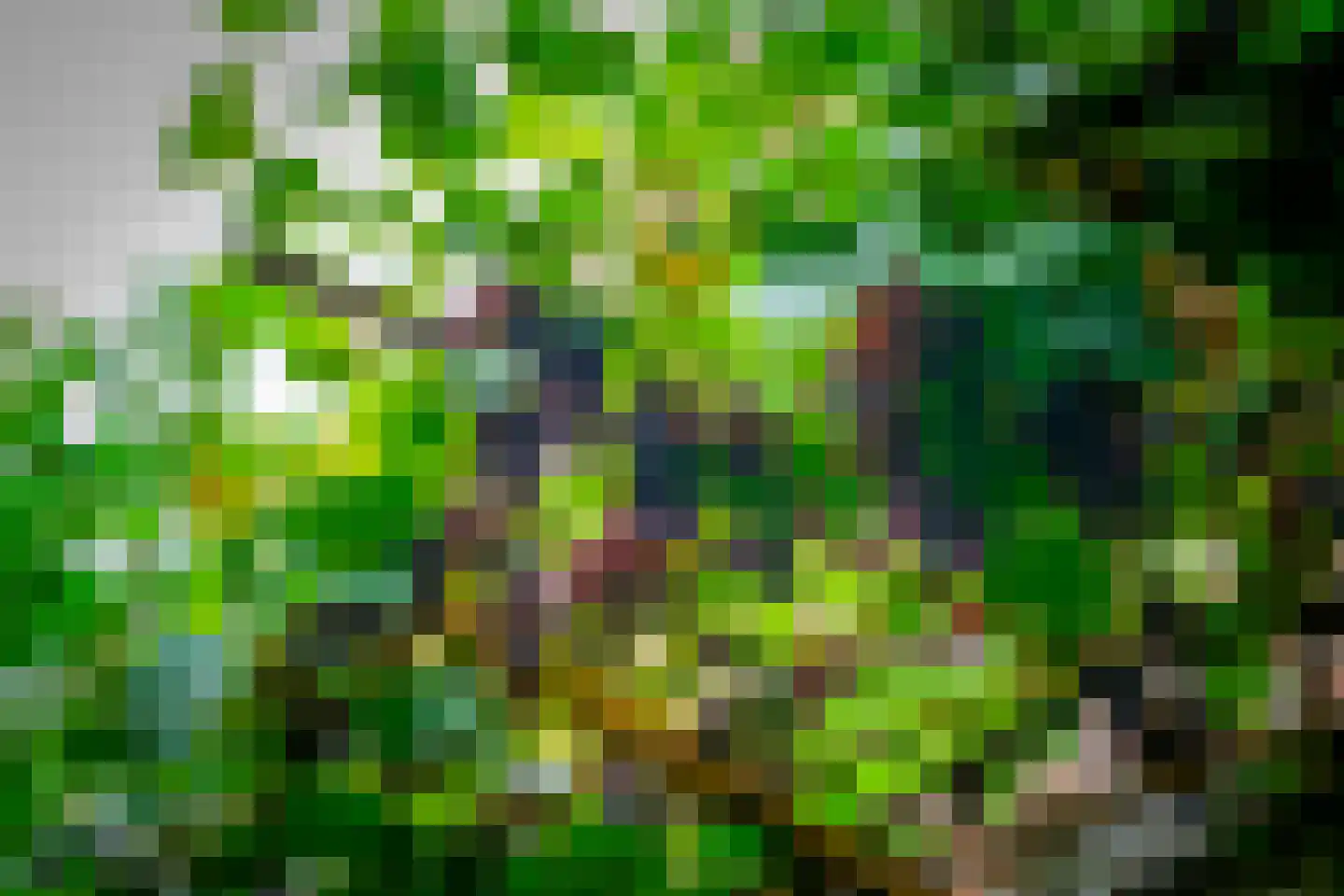 Adriaan van Zwietenstraat 3 Utrecht thumbnail 48