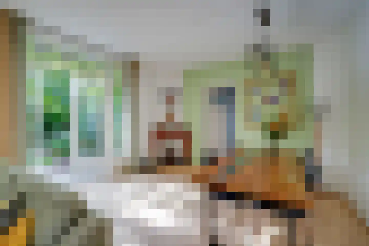 Adriaan van Zwietenstraat 3 Utrecht thumbnail 8