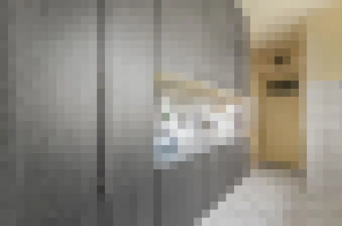 Adriaan van Zwietenstraat 9 Utrecht thumbnail 11