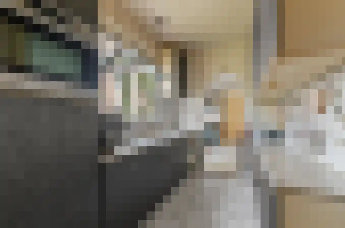 Adriaan van Zwietenstraat 9 Utrecht thumbnail 12
