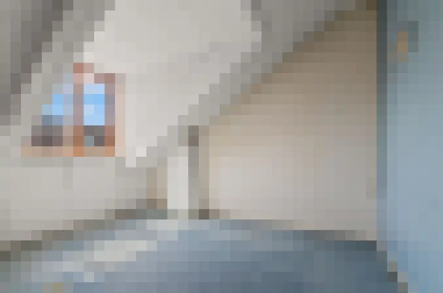 Adriaan van Zwietenstraat 9 Utrecht thumbnail 26