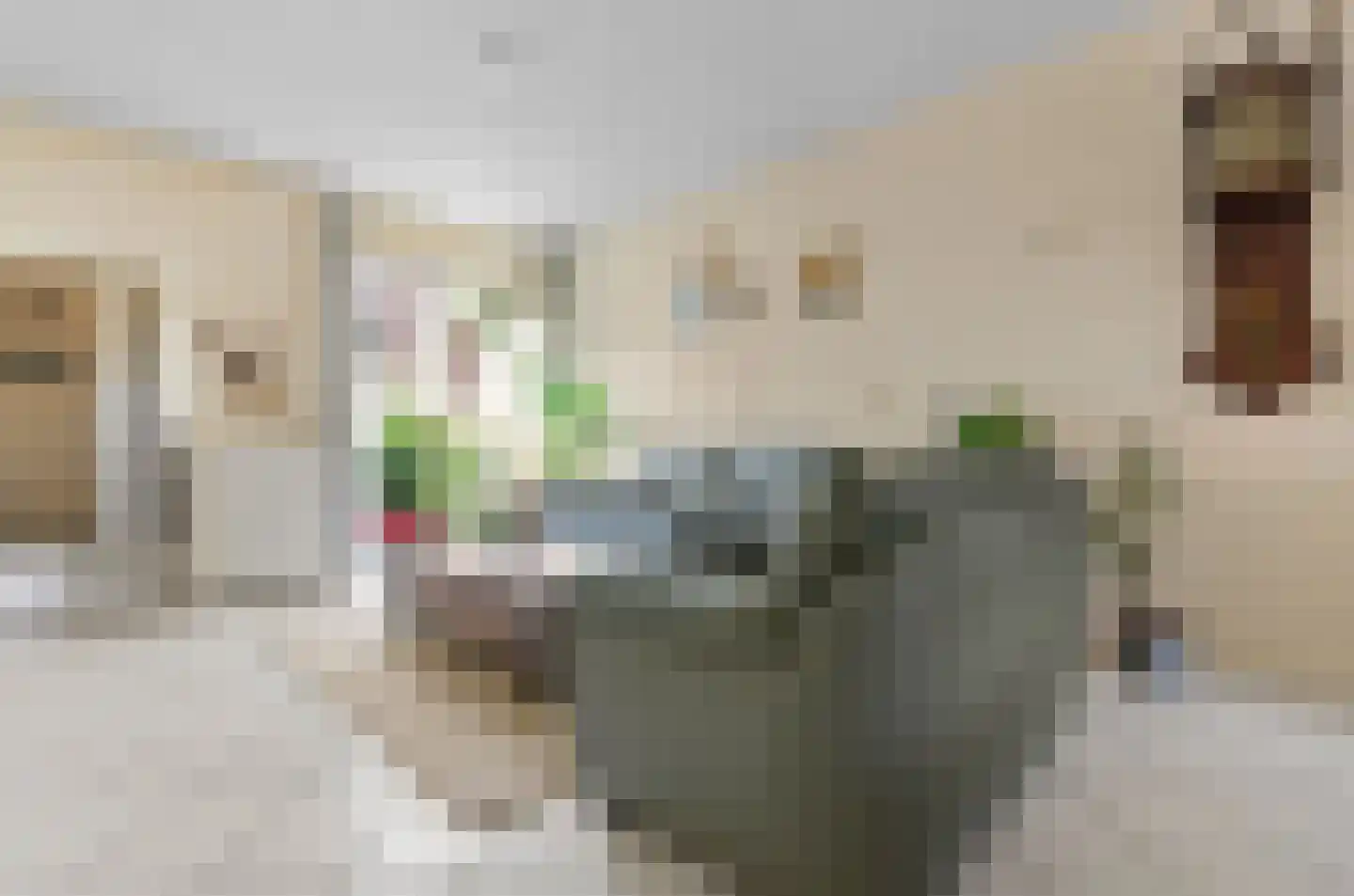 Adriaan van Zwietenstraat 9 Utrecht thumbnail 7