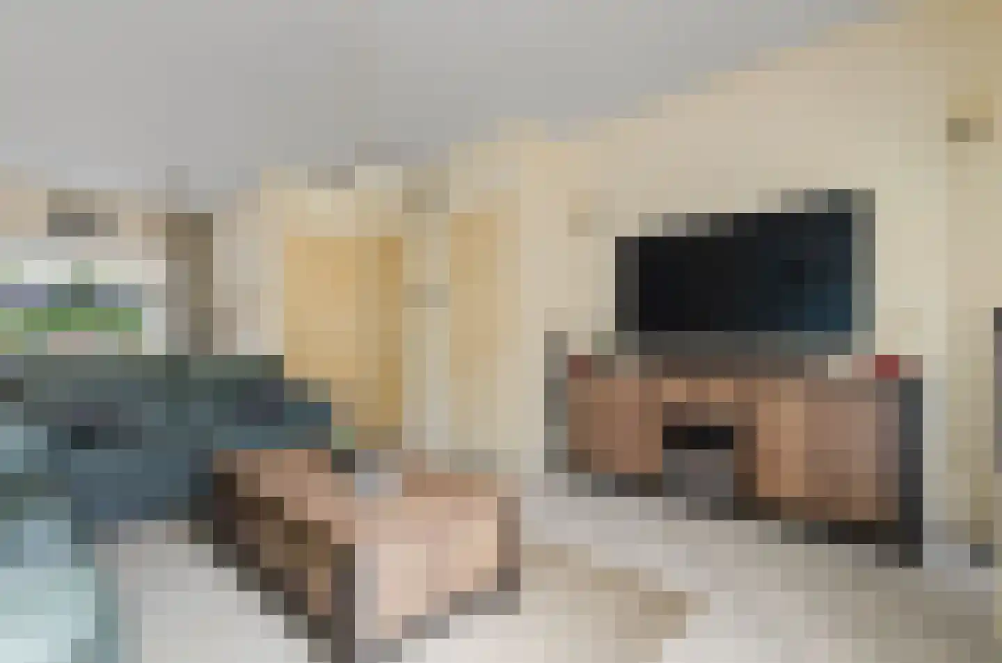 Adriaan van Zwietenstraat 9 Utrecht thumbnail 8