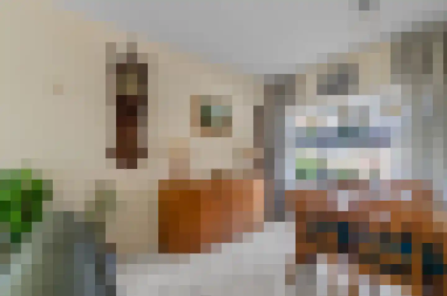 Adriaan van Zwietenstraat 9 Utrecht thumbnail 9