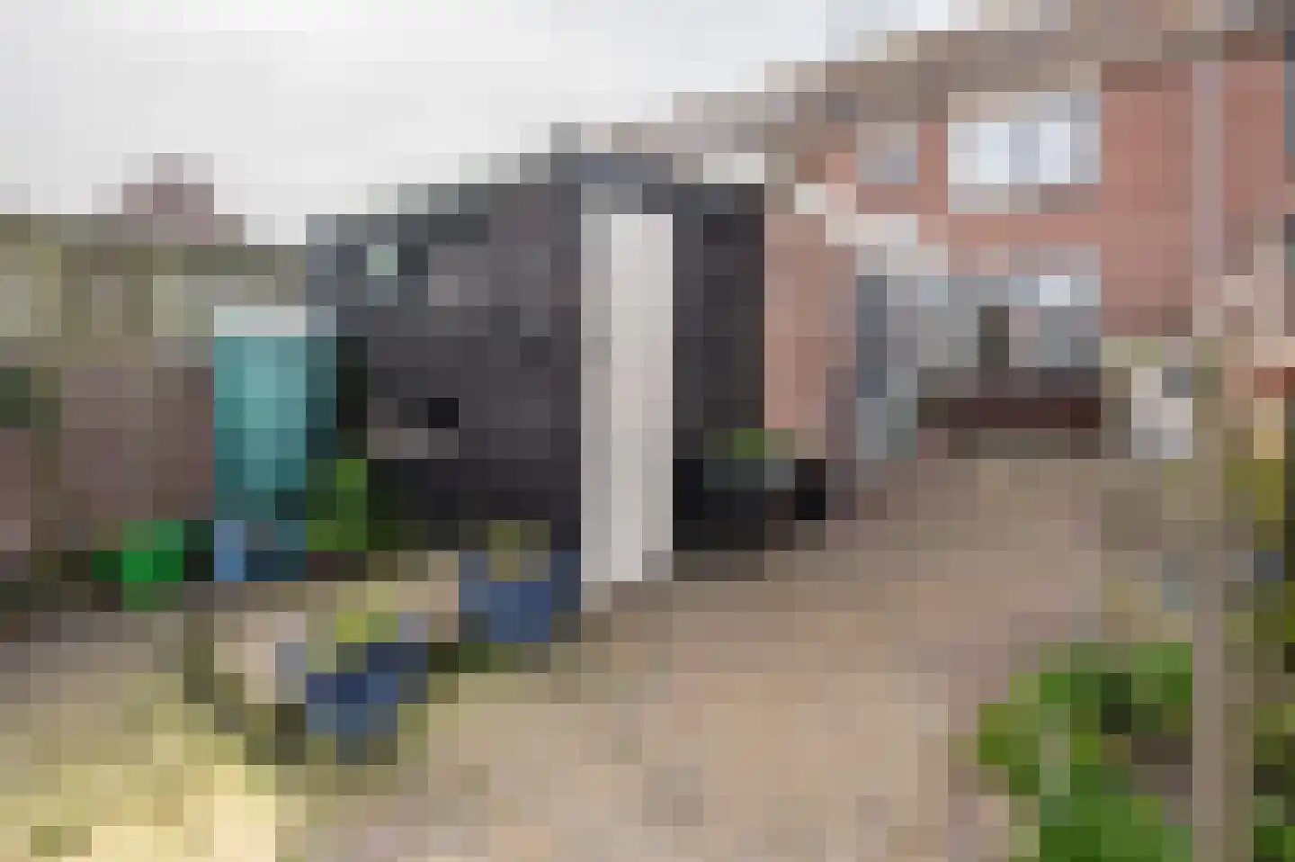 Adriaan Virulystraat 4 Westkapelle thumbnail 10