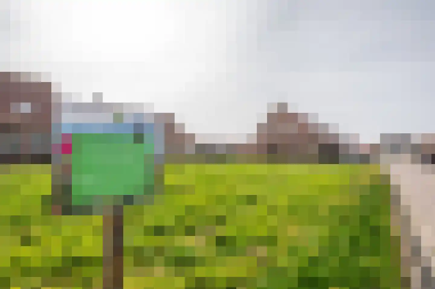 Adriaan Virulystraat 4 Westkapelle thumbnail 5