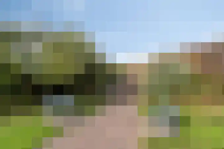 Adriaan Virulystraat 6 Westkapelle thumbnail 19