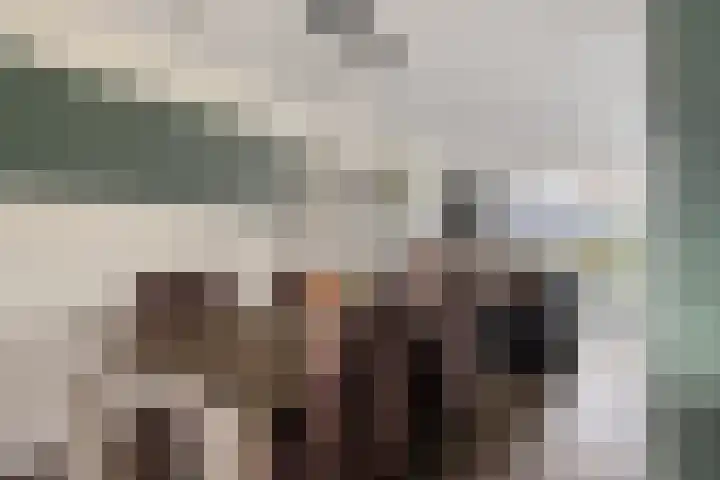 Adriaan Virulystraat 6 Westkapelle thumbnail 5