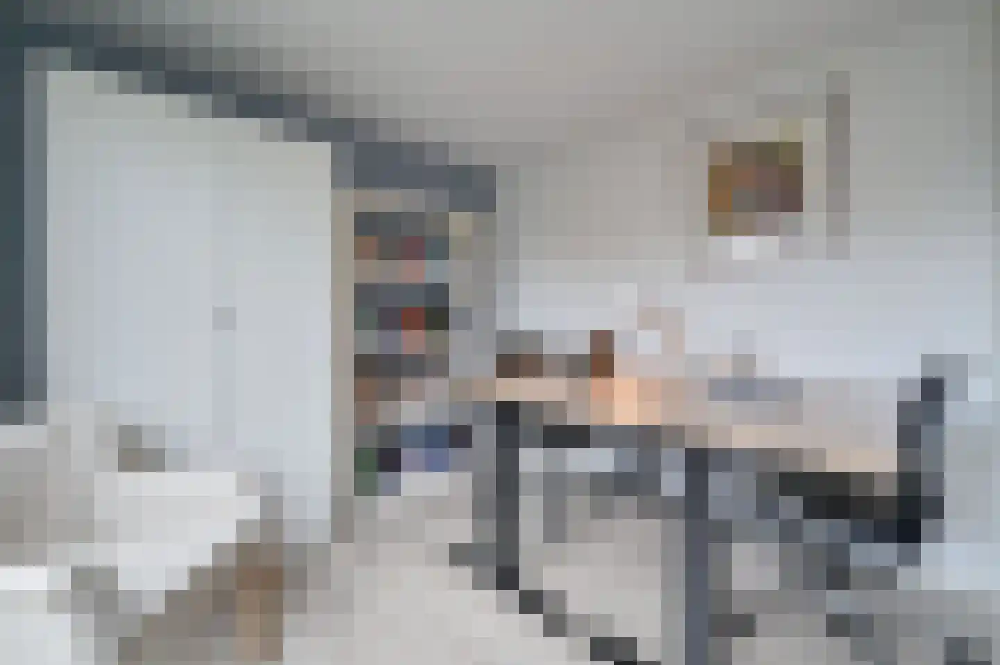 Adriaan Willaertweg 4 Uithoorn thumbnail 26