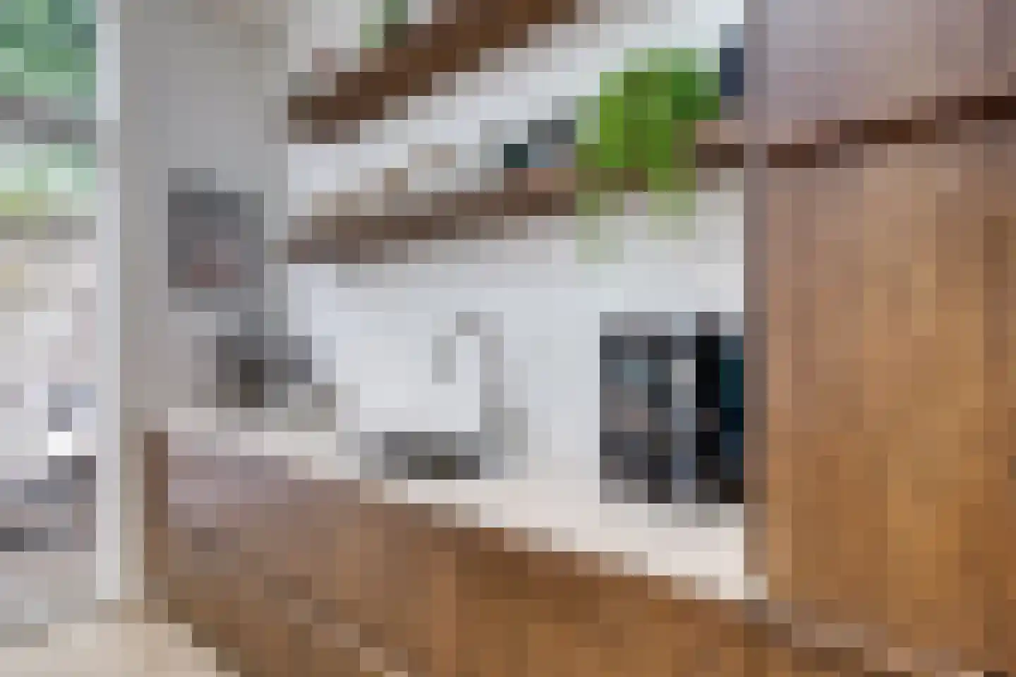 Adriaanstraat 12 Utrecht thumbnail 18