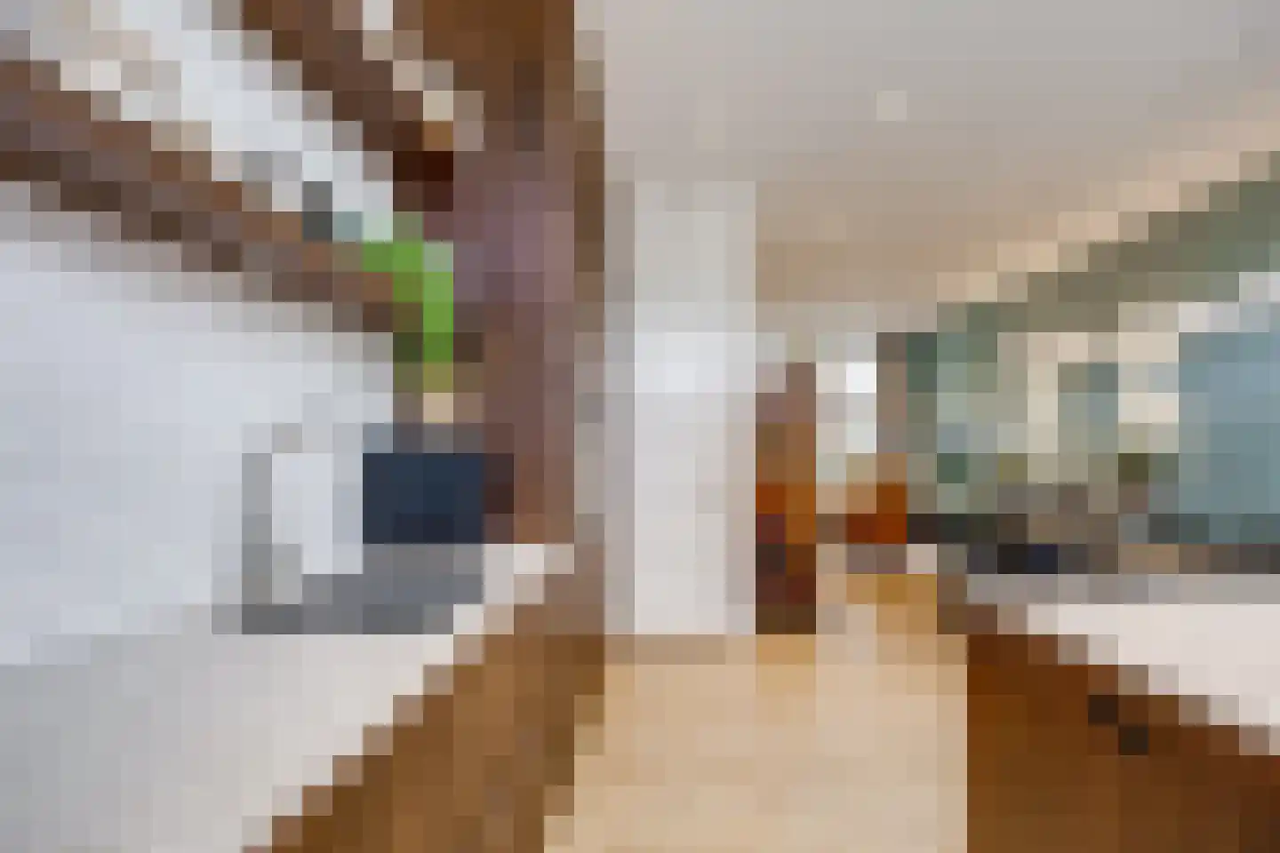 Adriaanstraat 12 Utrecht thumbnail 21