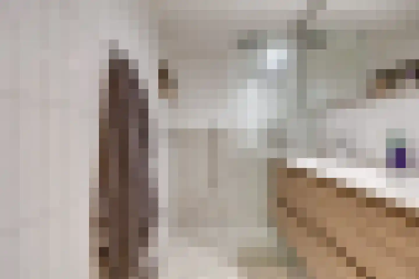 Adriaanstraat 12 Utrecht thumbnail 41