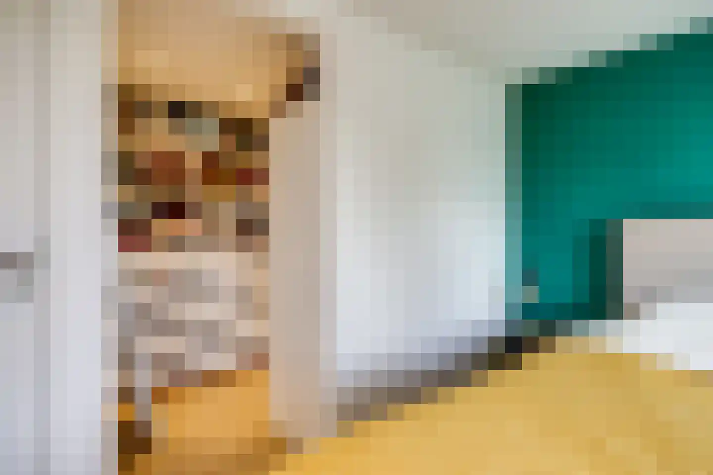 Adriaanstraat 12 Utrecht thumbnail 56