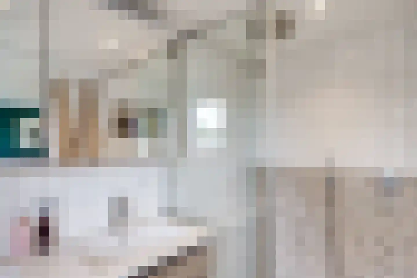 Adriaanstraat 12 Utrecht thumbnail 59