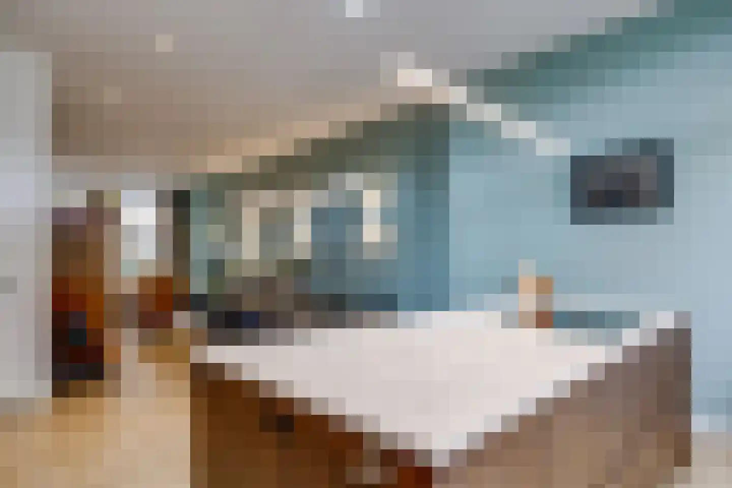 Adriaanstraat 12 Utrecht thumbnail 6