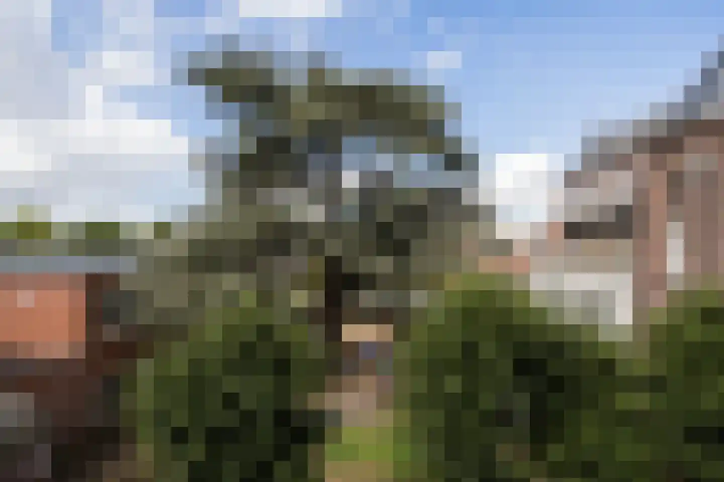 Adriaanstraat 12 Utrecht thumbnail 63