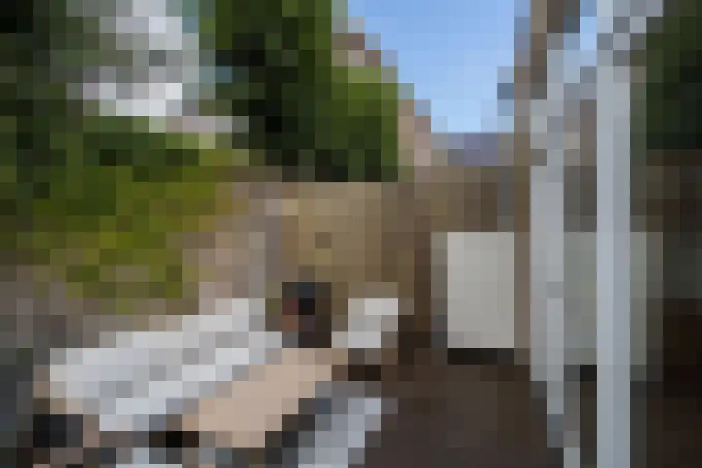Adriaanstraat 12 Utrecht thumbnail 65