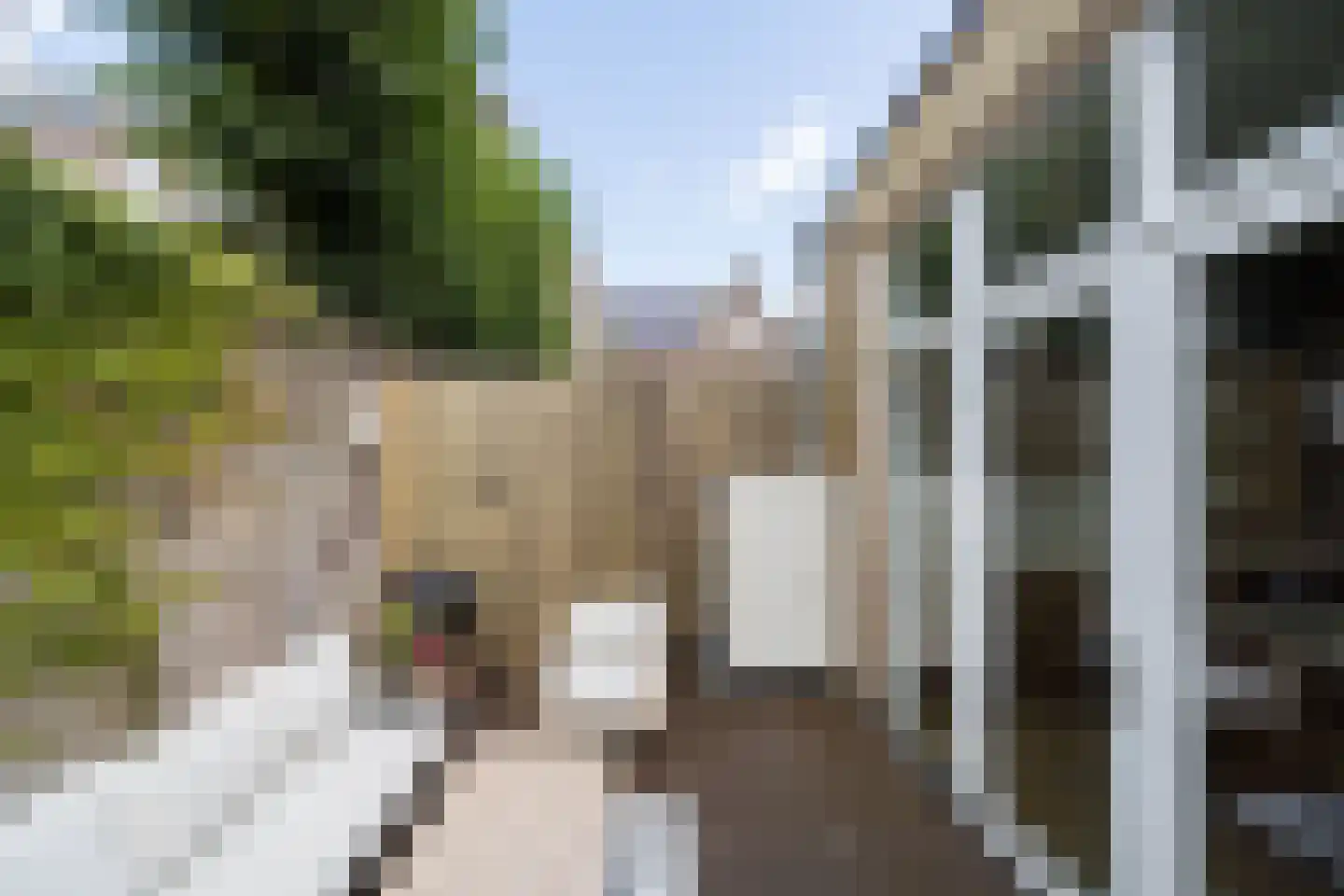 Adriaanstraat 12 Utrecht thumbnail 67