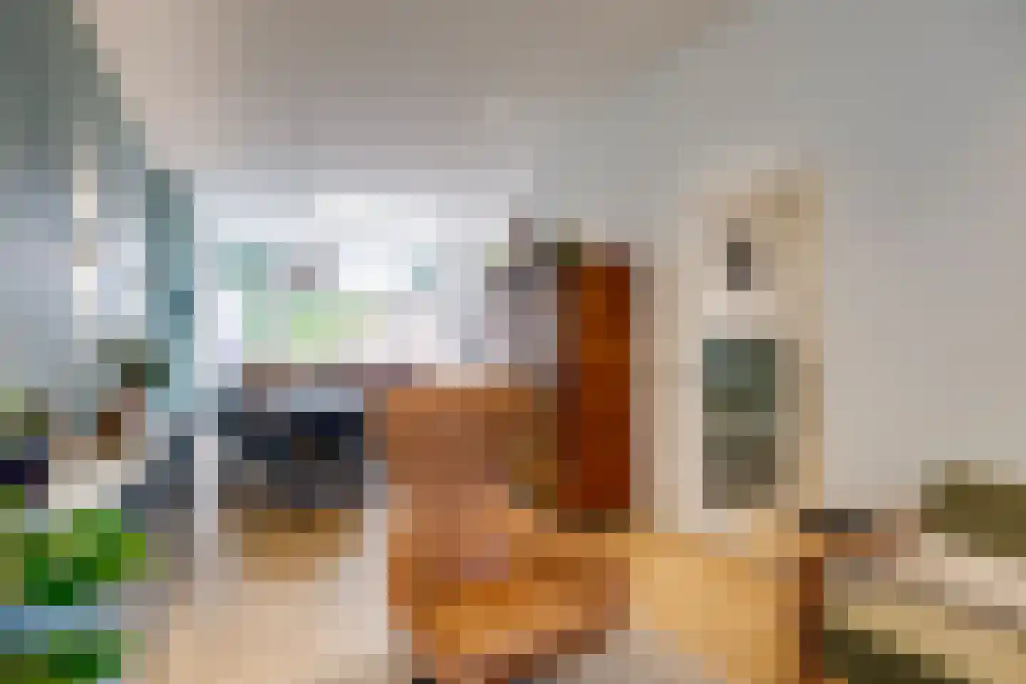 Adriaanstraat 12 Utrecht thumbnail 7