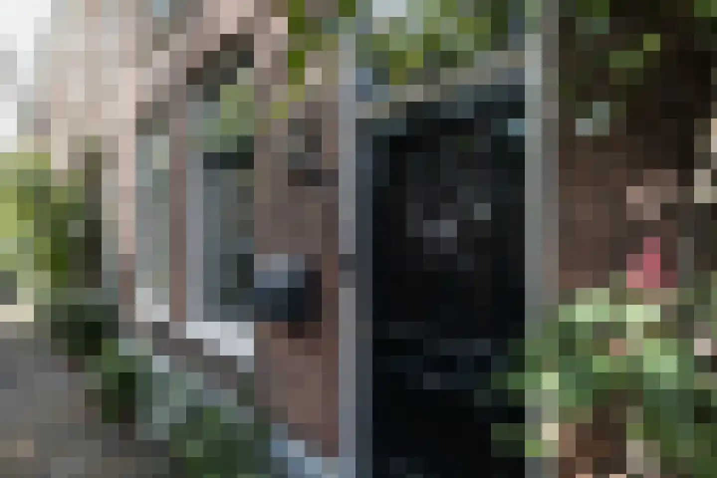 Adriaanstraat 12 Utrecht thumbnail 73