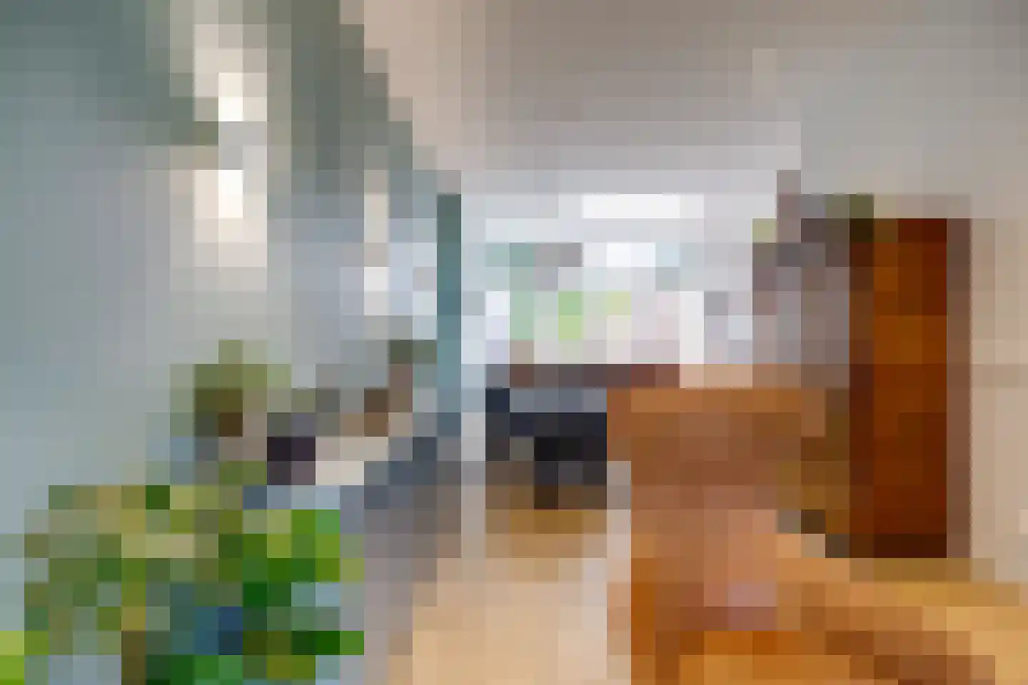 Adriaanstraat 12 Utrecht thumbnail 9