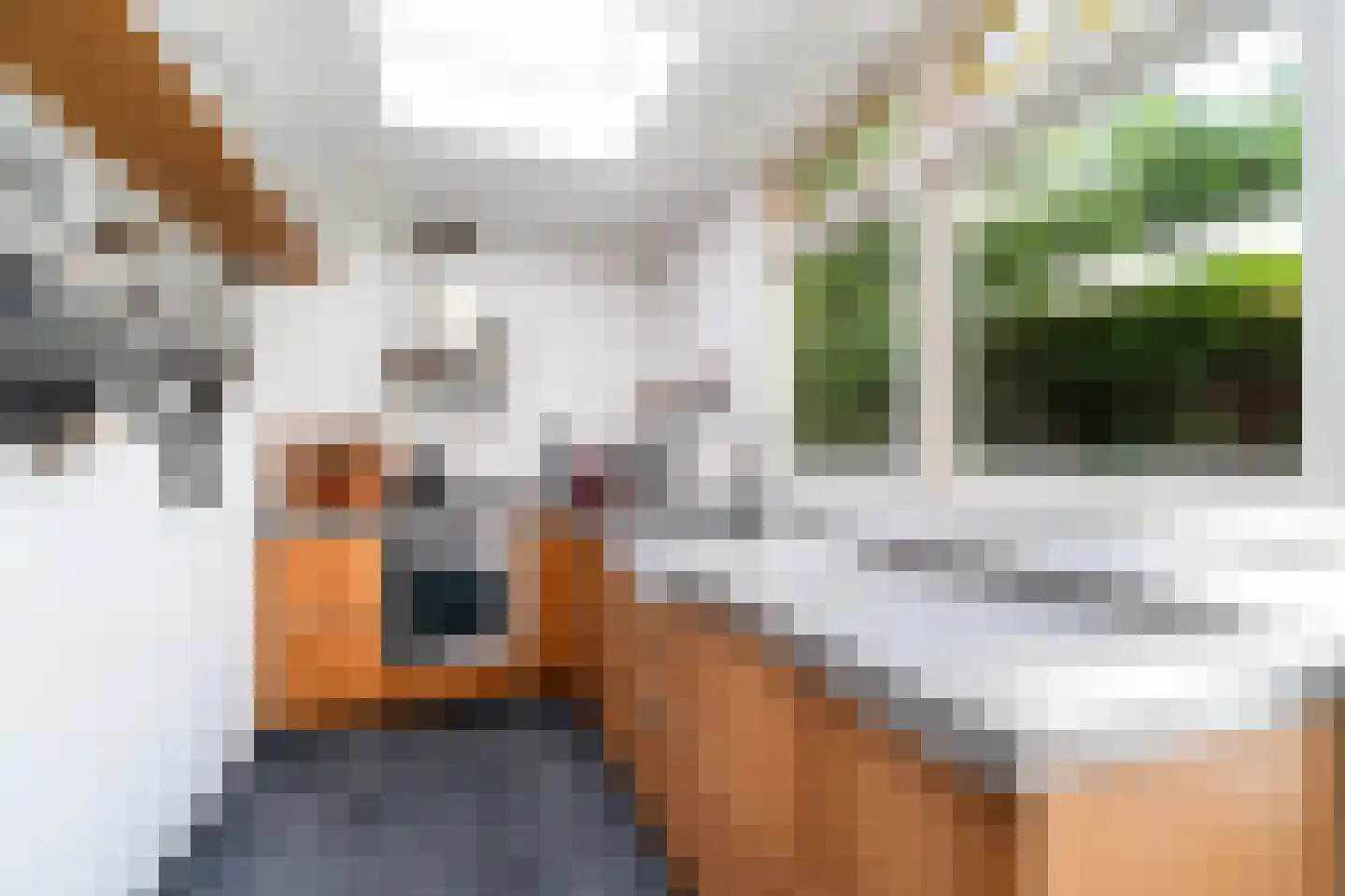 Adriaanstraat 17 Utrecht thumbnail 17