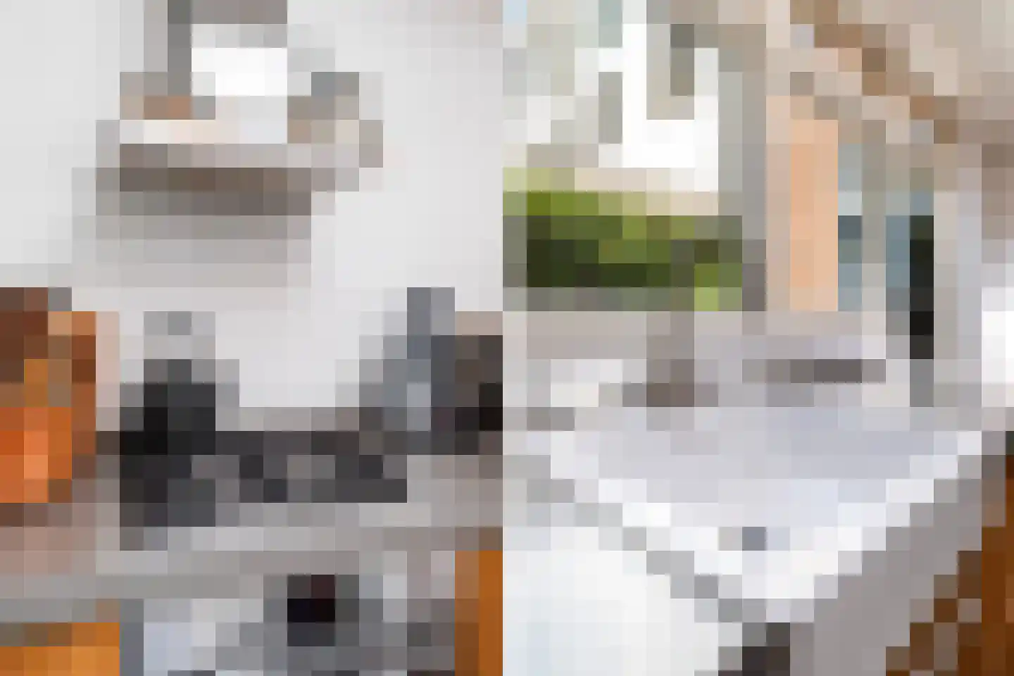 Adriaanstraat 17 Utrecht thumbnail 18
