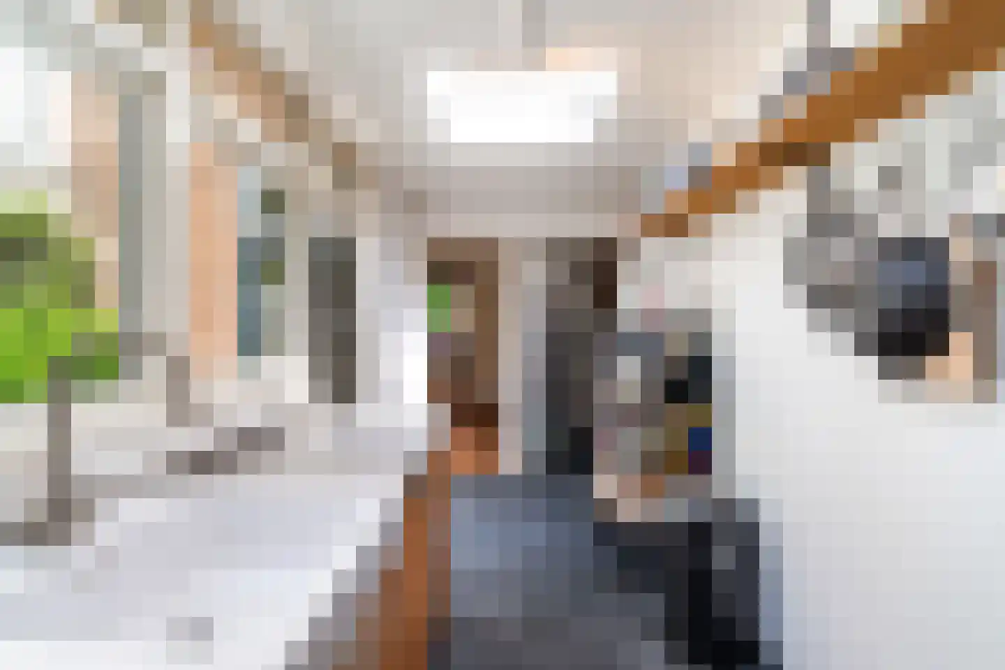 Adriaanstraat 17 Utrecht thumbnail 19