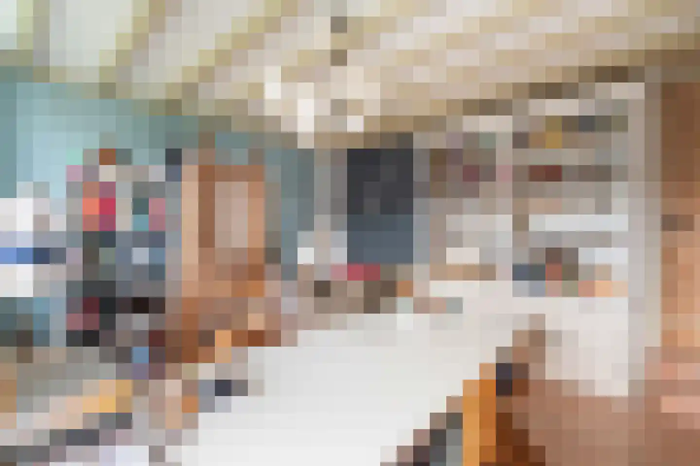 Adriaanstraat 17 Utrecht thumbnail 30