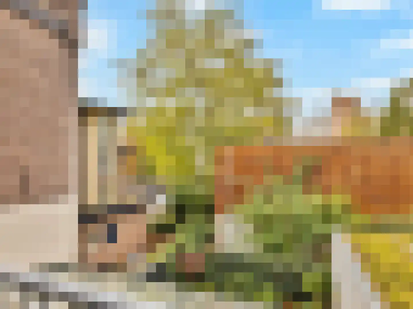 Adriaanstraat 28 B Utrecht thumbnail 18