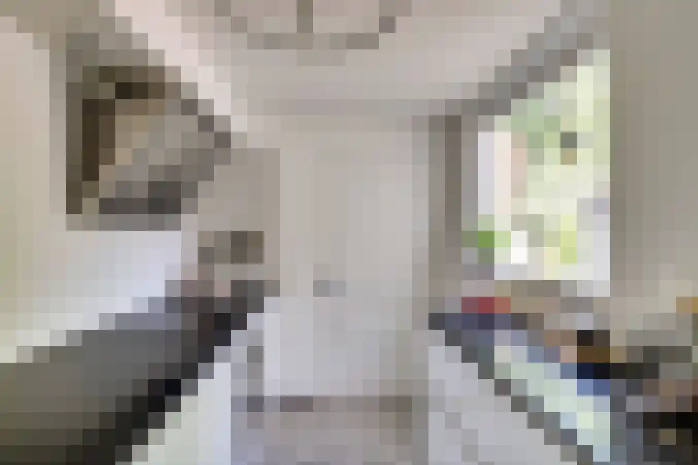 Adriaanstraat 30 Utrecht thumbnail 17