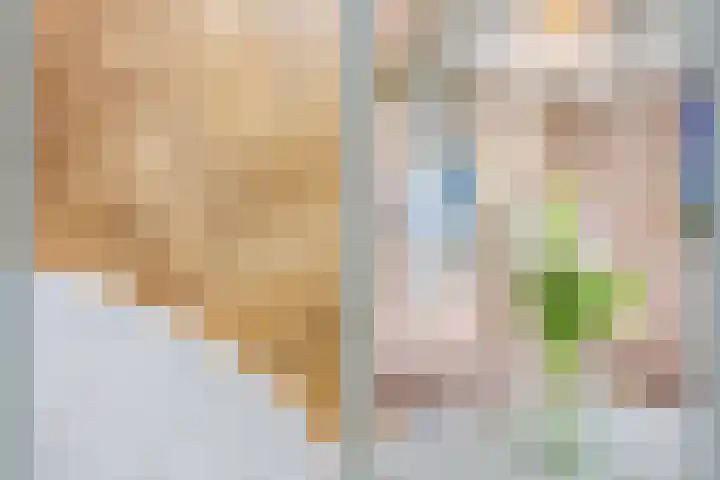 Adriaanstraat 38 Utrecht thumbnail 15