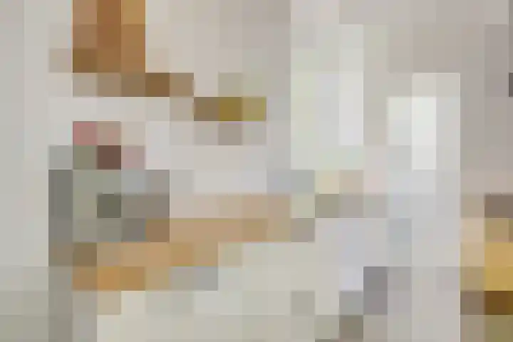Adriaanstraat 38 Utrecht thumbnail 17