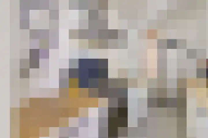 Adriaanstraat 38 Utrecht thumbnail 19