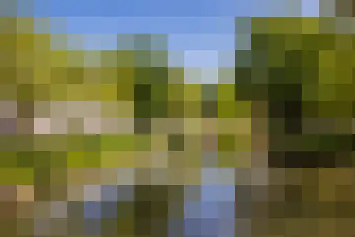 Adriaanstraat 38 Utrecht thumbnail 34