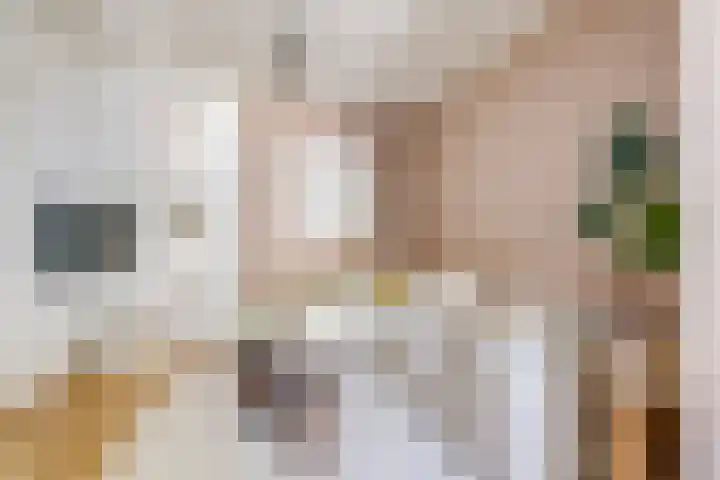 Adriaanstraat 38 Utrecht thumbnail 9