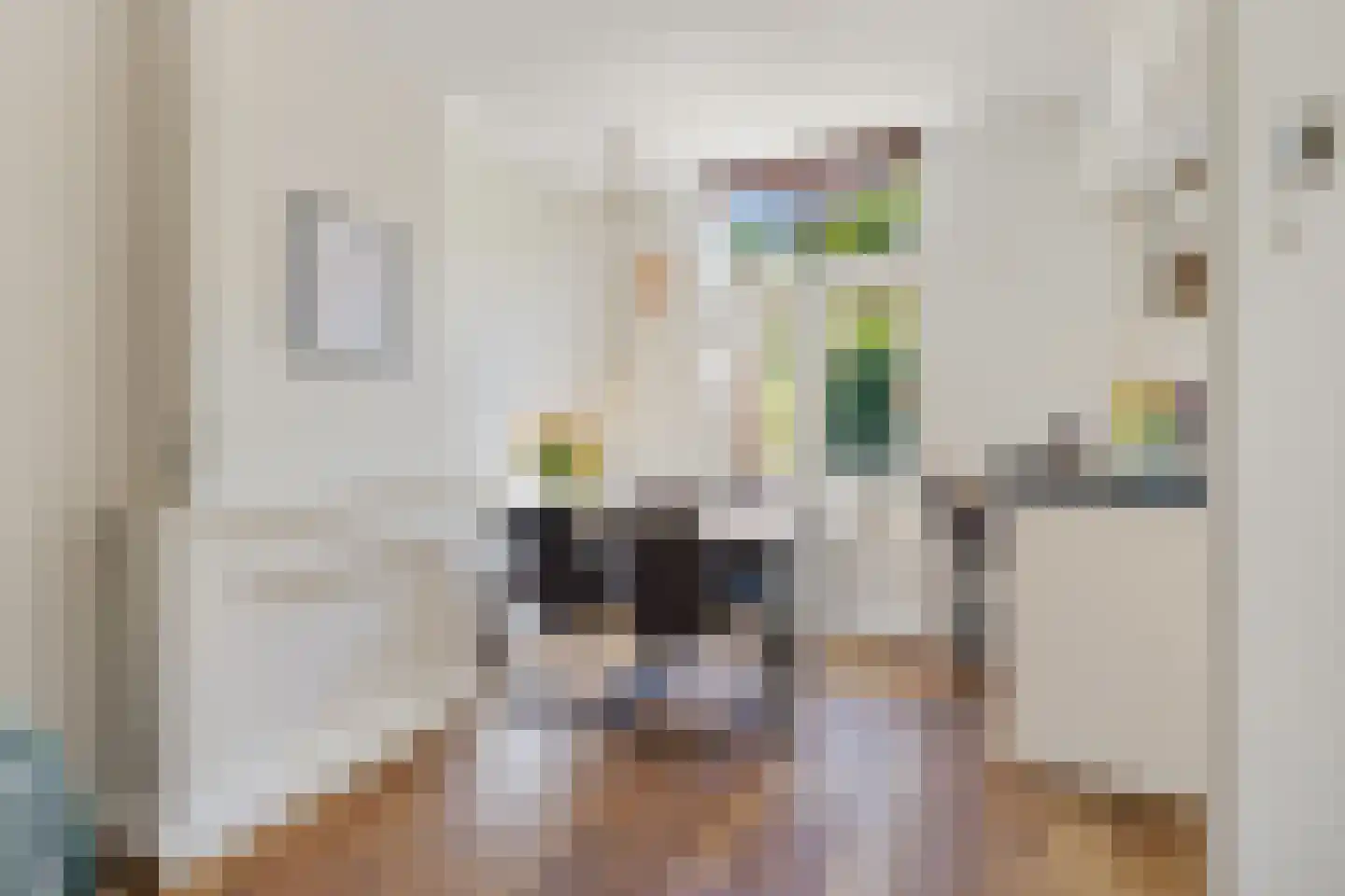 Adriaanstraat 41 Utrecht thumbnail 12