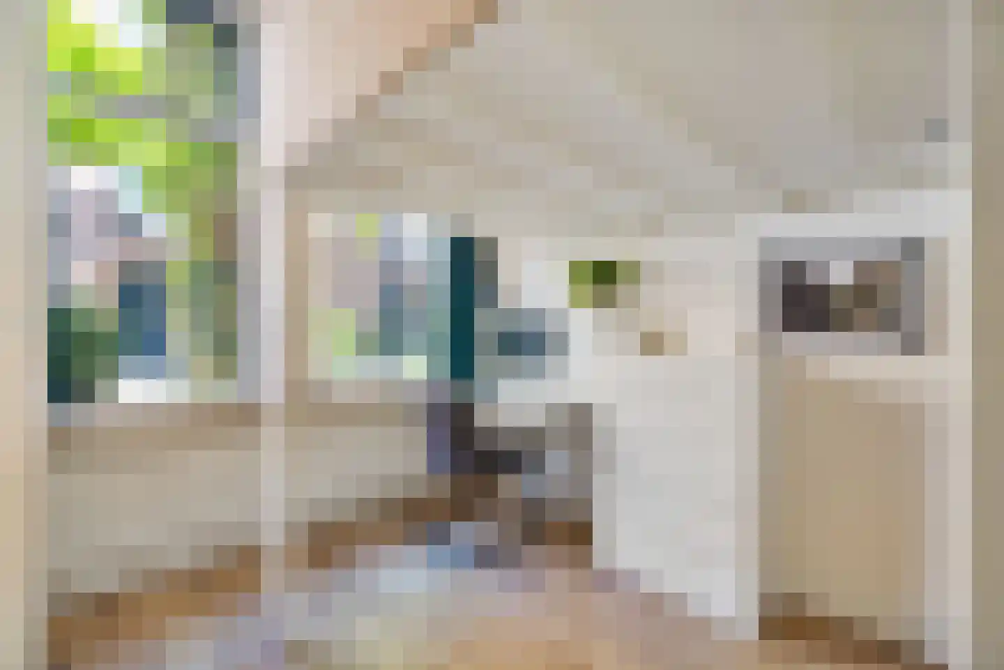 Adriaanstraat 41 Utrecht thumbnail 28